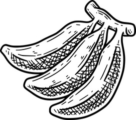 Fruit doodle Element