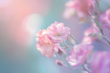 Obraz premium An ethereal display of delicate flowers in a dreamy pastel setting evokes a sense of calm and serenity
