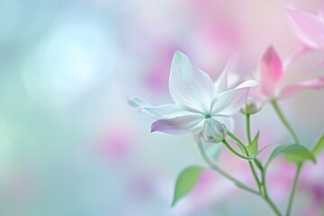 Fototapeta na wymiar An ethereal display of delicate flowers in a dreamy pastel setting evokes a sense of calm and serenity
