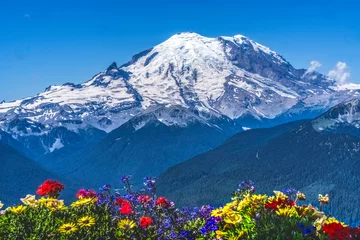 Foto op Plexiglas Colorful Flowers Mount Rainier Crystal Mountain Lookout Pierce County Washington © Bill Perry