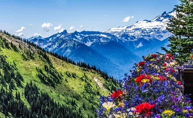 Foto op Plexiglas Colorful Flowers Mount Rainier Crystal Mountain Lookout Washington © Bill Perry
