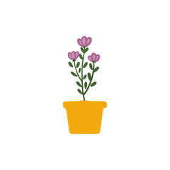 Obraz premium flower set with color vase.decoration