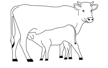 cow isolated on white, black and white gentle surprised look, pink nose, in front of a blue sky. Black silhouette cow isolated on white. Hand drawn vector illustration.