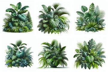 Green leaves of tropical plants bush floral arrangement indoors garden nature backdrop isolated on white background. Nature backdrop.