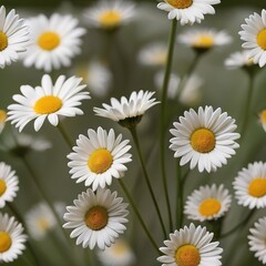 Obraz premium White daisies on a green background. Shallow depth of field.