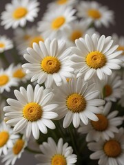 Fototapeta premium Beautiful bouquet of daisies on a gray background.