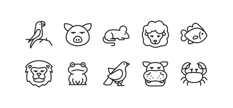 Set of animal icons. Simple outline animal icons pack