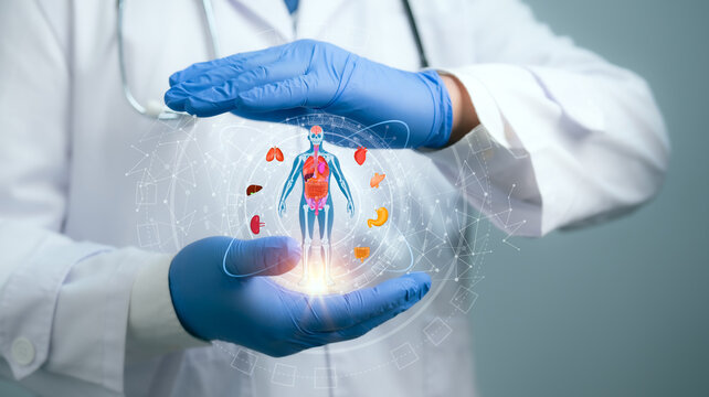 Medical worker holding hologram of a human body with human organs in concept of health. Medical future technology and innovative concept.Elevate healthcare with AI technology services.