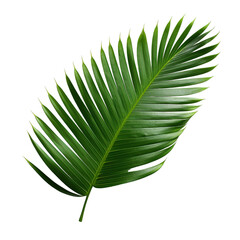 Palm Sunday, Easter and the Resurrection of Christ, with realistick palm leaves border