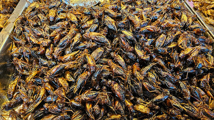Exotic Thai street food Fried insects in a market showcase, Creating a delicious and healthy snack...