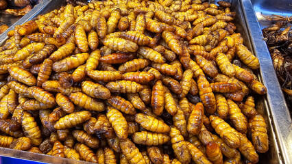 Exotic Thai street food Fried insects in a market showcase, Creating a delicious and healthy snack option. The bugs are often deep fried mixed with pandan, salted before being served.
