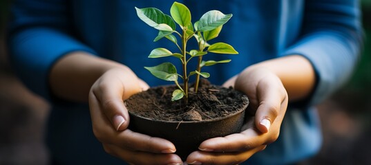 Sustainable growth. hands nurturing small plant in fertile soil - eco-awareness concept