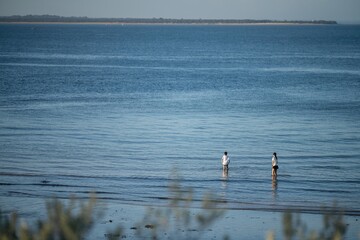 sandy beach with familys swimming at dusk on phillip island australia on a hot summer evening