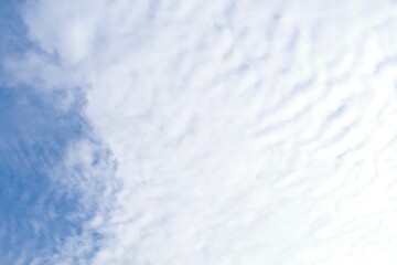 波状雲が広がる青空