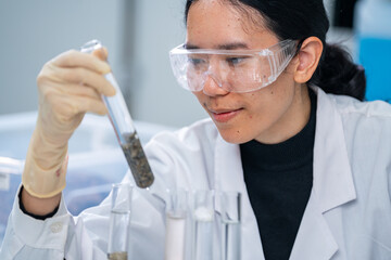 Ground researcher, geologist or archaeologist working with test tube of soil, rock, stone or fossil...