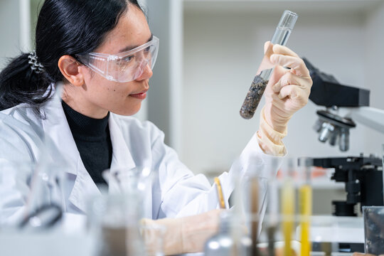 Ground researcher, geologist or archaeologist working with test tube of soil, rock, stone or fossil sample studying, finding or discovering in paleontology, archaeological and geological or laboratory