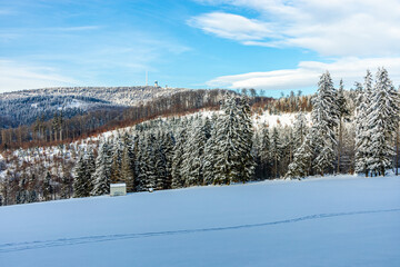 Kleine Winterwanderung im runde um den verschneiten Inselsberg bei Brotterode - Thüringen -...