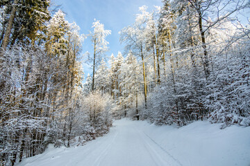 Obraz premium Kleine Winterwanderung im runde um den verschneiten Inselsberg bei Brotterode - Thüringen - Deutschland