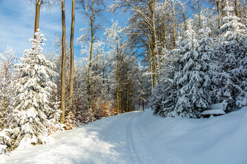 Kleine Winterwanderung im runde um den verschneiten Inselsberg bei Brotterode - Thüringen -...