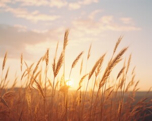 Golden wheat field at sunset. Generative AI.