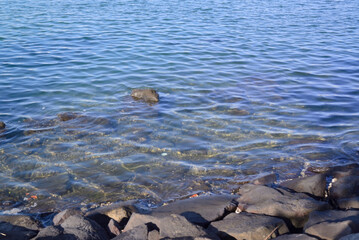 東京湾お台場海浜公園の波打ち際の岩礁模様
