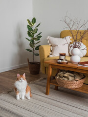 Plakat Cozy living room - a red cat on the carpet, a yellow sofa with decorative pillows, an oak bench with decor