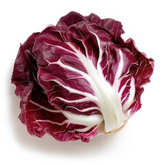 Obraz premium radicchio, with its striking burgundies leaves isolated on white background