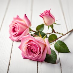 Flowers of pink roses on white wood background. Happy Valentine's Day with this romantic greeting card.
