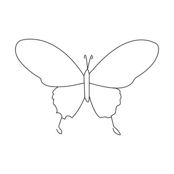 Butterfly continuous one line drawing element isolated on white background and single line art outline vector illustration



