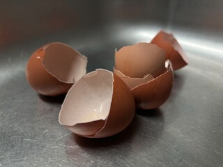 broken egg shell