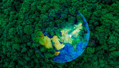 Atmospheric aerial view of the green forest with the earth Demonstrate the concept of preserving the top ecosystem and natural environment and Save Eart