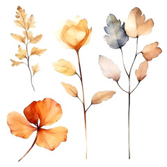 set of dry flowers, dried leaf and twig