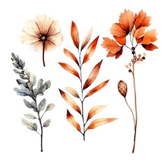 set of dry flowers, dried leaf and twig