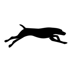 Dog running vector image