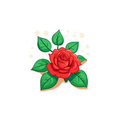 illustration of a rose