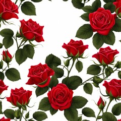 Fototapeta premium Red Roses on a white background