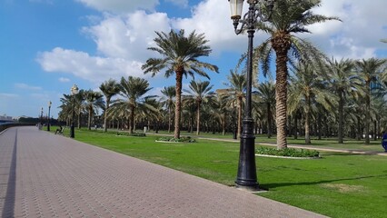Fototapeta premium palm, beach, tree, tropical, green, palms, nature, sky, summer, sea, vacation, street, road, park, island, landscape, travel, coconut, ocean