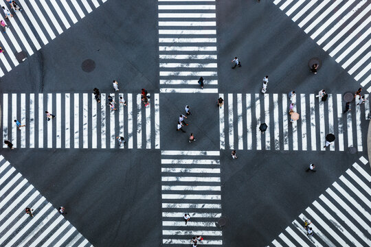 Aerial view of pedestrian crossing with people, Tokyo, Japan