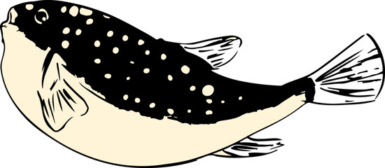 和風なフグの墨絵イラスト挿絵 © foolchico