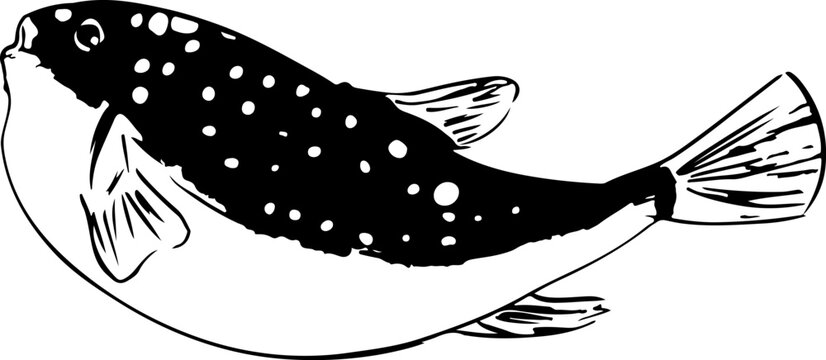 recommend clip art: 和風なフグの線画墨絵イラスト