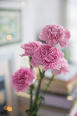 Pink carnations in a bottle on the table