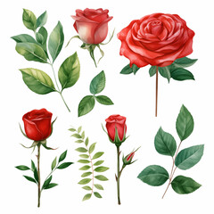 Set of pictures of red roses with leaves