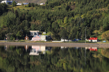 Fototapeta na wymiar Houses in a forest are reflected in the Atlantic Ocean