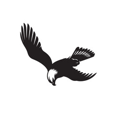 Bald Eagle illustration