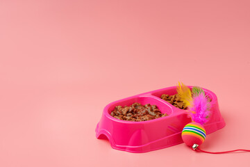 Dry pet food in bowl on color background