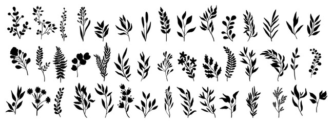 Set of leaves silhouette of beautiful plants, leaves, plant design. Vector illustration . - obrazy, fototapety, plakaty