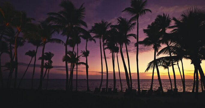 Ocean beach colorful sunset seascape panorama of palm trees and sea shore 4k video