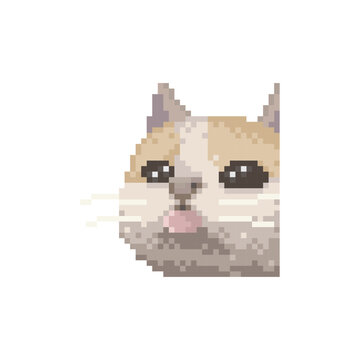 Adorable cat sticking out its tongue, pixel art meme