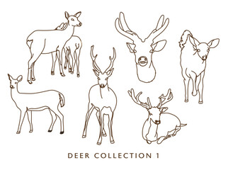 Deer Vector Illustration Outlines! - Collection 1