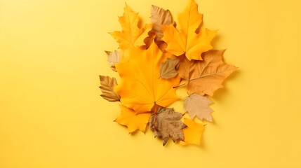 Naklejka na ściany i meble Autumn fall leaves. Maple leave in the corner of yellow background. Top view with copy space.